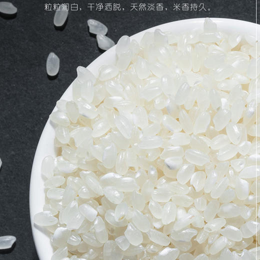 华润五丰优选东北珍珠大米5kg(T)（T） 商品图1