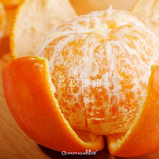 【京东发货】广州玫瑰柑水果礼盒 施用玫瑰花有机肥  皮薄肉厚 饱满多汁 高端年货水果礼盒 产地现摘现发 商品图3