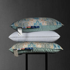 奥黛丽可水洗鹅绒枕