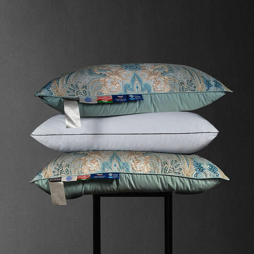 奥黛丽可水洗鹅绒枕 商品图0