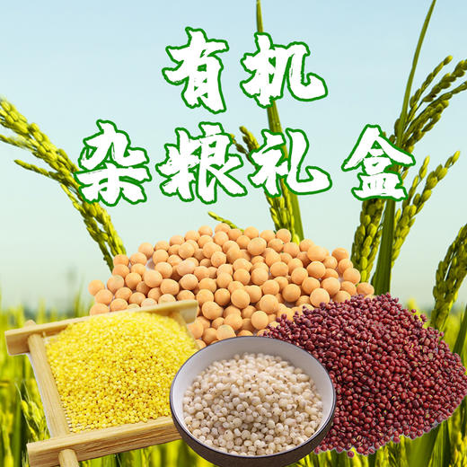 草原有机杂粮礼盒4550g 商品图0