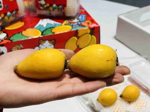 云南✈️高山枇杷-空运时效，鲜嫩清甜，水份足，雾霾天必备水果之一 商品图2