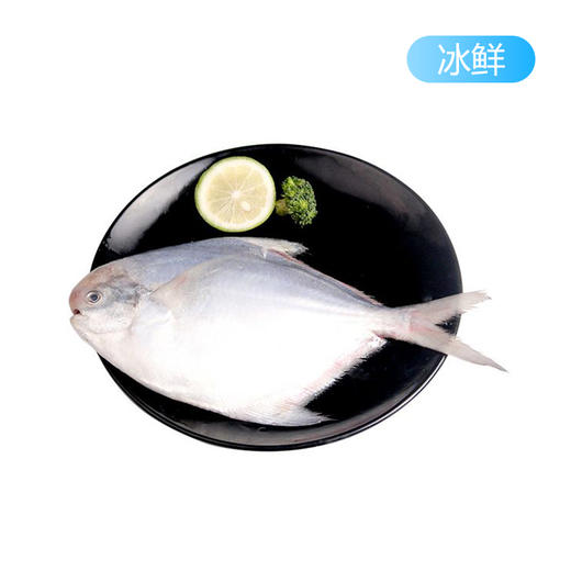 【冰鲜】平鱼 130-150g/条 3条/份