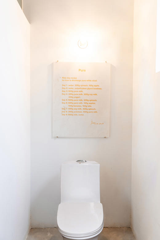 行为装置-冯琳《纯洁》 商品图0