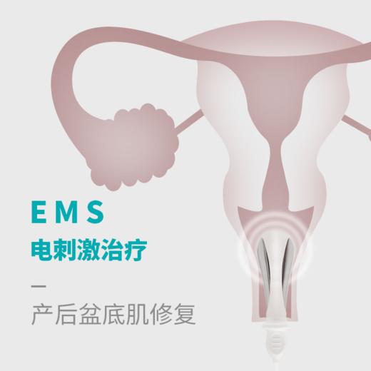 DJ麻麻康原装电极探头K20正品盆底肌电刺激治疗220i/218i/430i/520i通用 商品图3