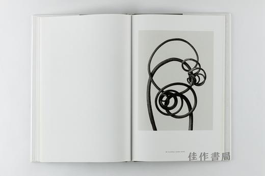 Karl Blossfeldt: Masterworks 卡尔·布洛斯菲尔特 商品图4