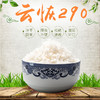 卧龙谷云恢290大米 10kg/袋 商品缩略图1