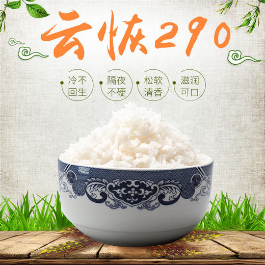 卧龙谷云恢290大米 10kg/袋 商品图1