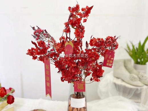 年宵花迎客豆 商品图0