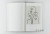 Karl Blossfeldt: Masterworks 卡尔·布洛斯菲尔特 商品缩略图2