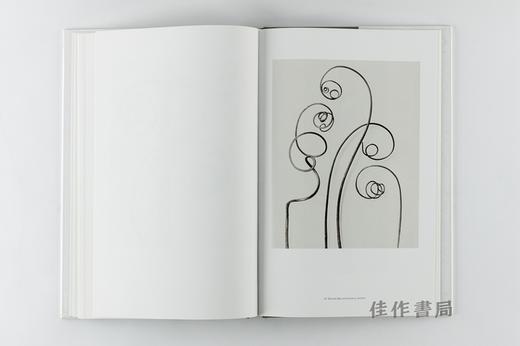 Karl Blossfeldt: Masterworks 卡尔·布洛斯菲尔特 商品图2