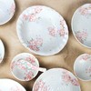 MINOYAKI/美浓烧 日本进口间取樱花餐具碗盘碟10件套装JPY带授权招加盟代理 商品缩略图3