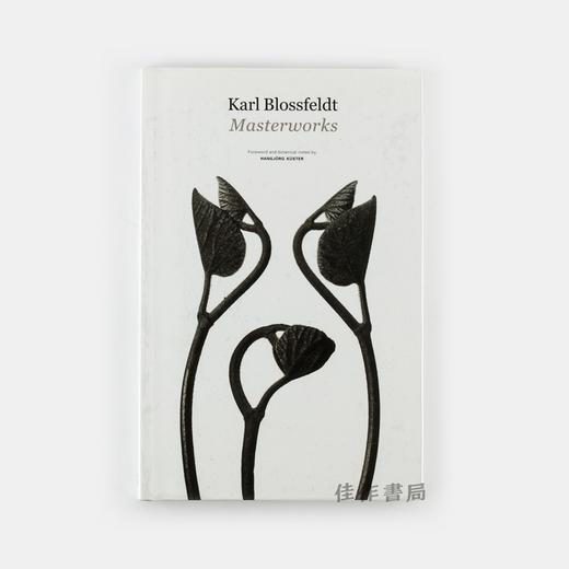 Karl Blossfeldt: Masterworks 卡尔·布洛斯菲尔特 商品图0