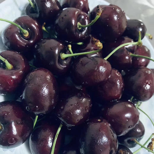 Santina JJJ车厘子 🍒甜！脆！多汁！光泽度高果子脆硬，超级棒红车。 商品图3