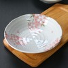 MINOYAKI/美浓烧 日本进口间取樱花餐具碗盘碟10件套装JPY带授权招加盟代理 商品缩略图2