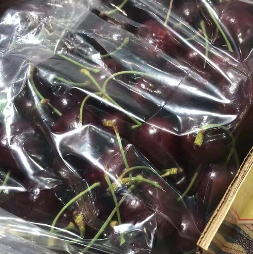 Santina JJJ车厘子 🍒甜！脆！多汁！光泽度高果子脆硬，超级棒红车。 商品图7