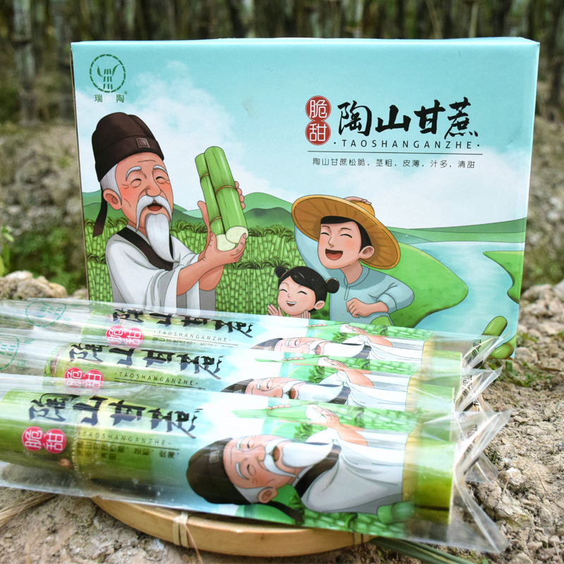 千年种植历史·浙江陶山脆皮甘蔗  珍稀老品种 汁水丰盈 满口留香 清甜似冰糖