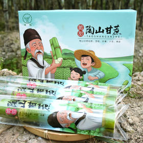 千年种植历史·浙江陶山脆皮甘蔗  珍稀老品种 汁水丰盈 满口留香 清甜似冰糖