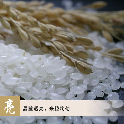 松花江秋田小町王 10kg/袋 商品图2