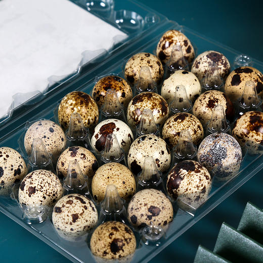 康派鲜鹌鹑蛋24枚 商品图3