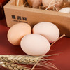 康派鲜有机山鸡蛋12枚 商品缩略图4