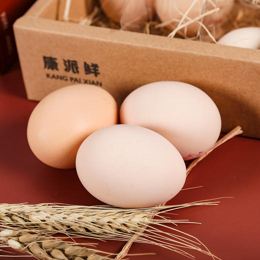 康派鲜有机山鸡蛋12枚 商品图4