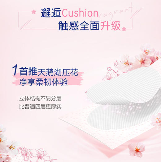 『得宝Tempo』樱花卷纸10卷+樱花印花手帕纸12包 商品图4