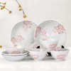 MINOYAKI/美浓烧 日本进口间取樱花餐具碗盘碟10件套装JPY带授权招加盟代理 商品缩略图1