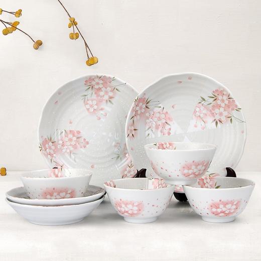 MINOYAKI/美浓烧 日本进口间取樱花餐具碗盘碟10件套装JPY带授权招加盟代理 商品图1