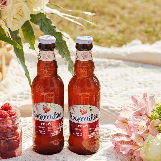 福佳啤酒玫瑰味（国产）248ml（AA） 商品图3