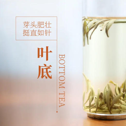 星宇茗茶 白毫银针 60g 商品图2