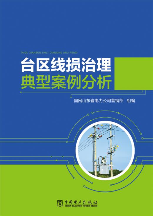 台区线损治理典型案例分析 商品图1
