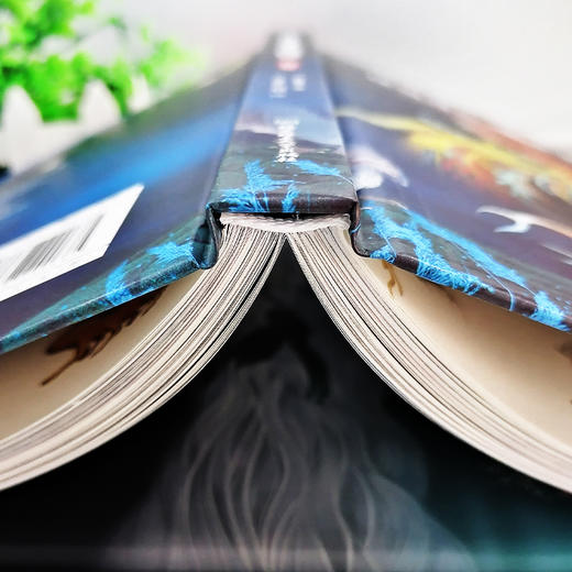 孩子读得懂的山海经全套3册正版原著儿童版故事书籍中国民间神话故事图书 青少年小学生阅读课外书必读二三四五年级8-16周岁少儿书 商品图2