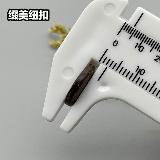 M19(整包购买) 商品图4