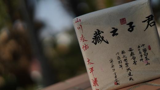 君子之藏 --白茶山方守龙制故宫600年纪念白茶砖方守龙白茶 商品图3