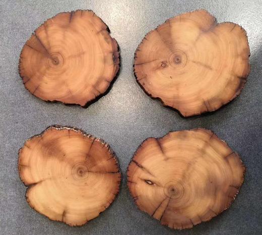 崖柏壶垫 商品图0