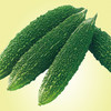 [庭院种子] 墨玉苦瓜种子 "爱乐" 商品缩略图0
