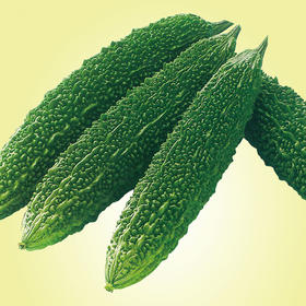 [庭院种子] 墨玉苦瓜种子 "爱乐"