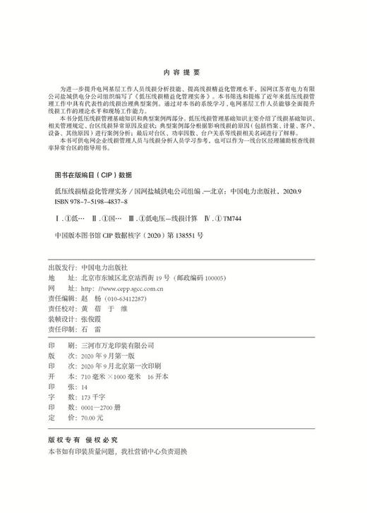低压线损精益化管理实务 商品图3
