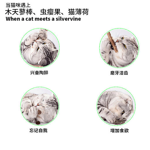 猫森林零食自嗨三宝木天蓼+猫薄荷+虫瘿果 商品图5