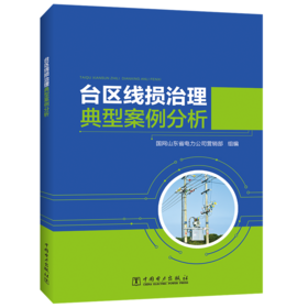 台区线损治理典型案例分析