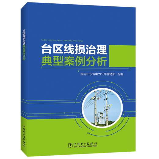 台区线损治理典型案例分析 商品图0