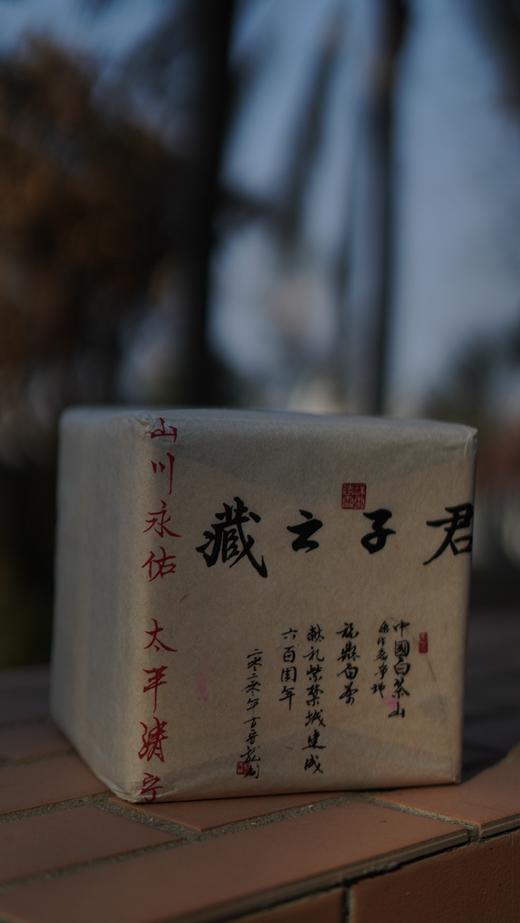 君子之藏 --白茶山方守龙制故宫600年纪念白茶砖方守龙白茶 商品图2