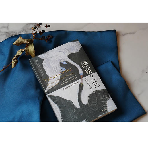 缪斯之艺：泛美学研究//当代学术棱镜译丛·视觉文化与艺术史系列 商品图6