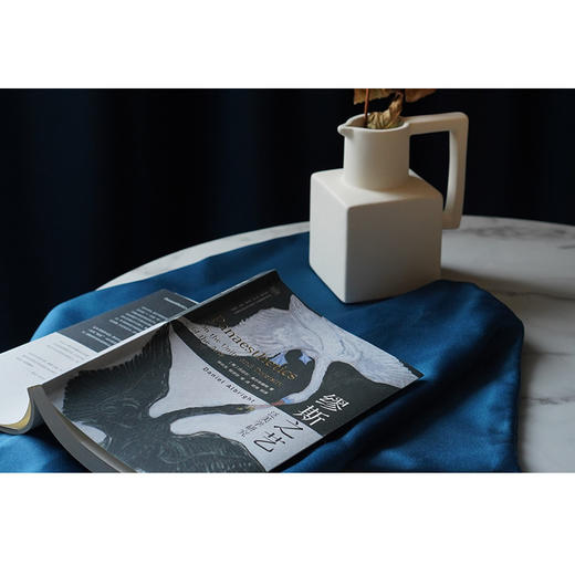 缪斯之艺：泛美学研究//当代学术棱镜译丛·视觉文化与艺术史系列 商品图8