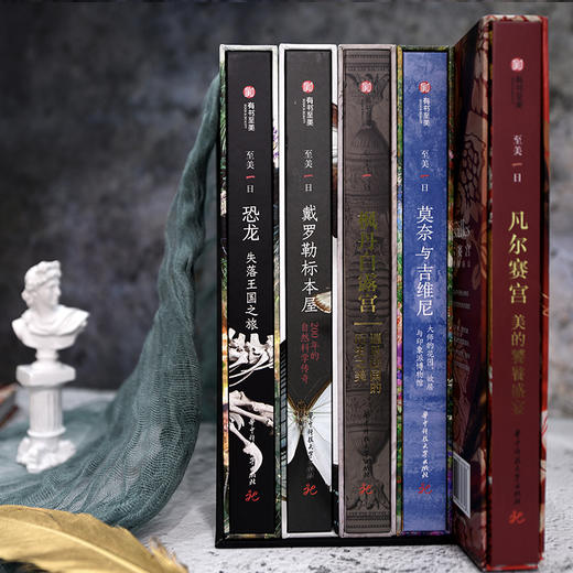 至美一日套装（5本） 商品图7