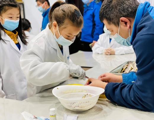 【2H公益时长】企鹅讲堂+与企鹅近距离互动拍照+制作饵料喂食企鹅+观察企鹅生活习性，开启你的海底奇遇！ 商品图4