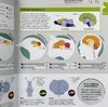 【中商原版】DK科普 大脑运作百科 英文原版 DK-How the Brain Works: The Facts Visually Explained 商品缩略图4