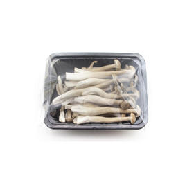 珍菇园有机鹿茸菇