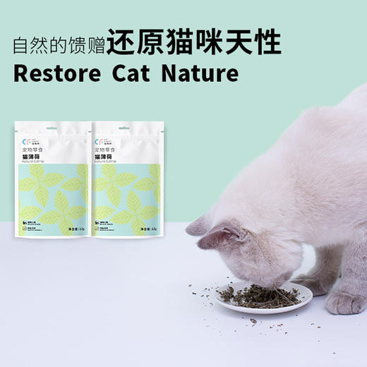 猫森林零食自嗨三宝木天蓼+猫薄荷+虫瘿果 商品图4